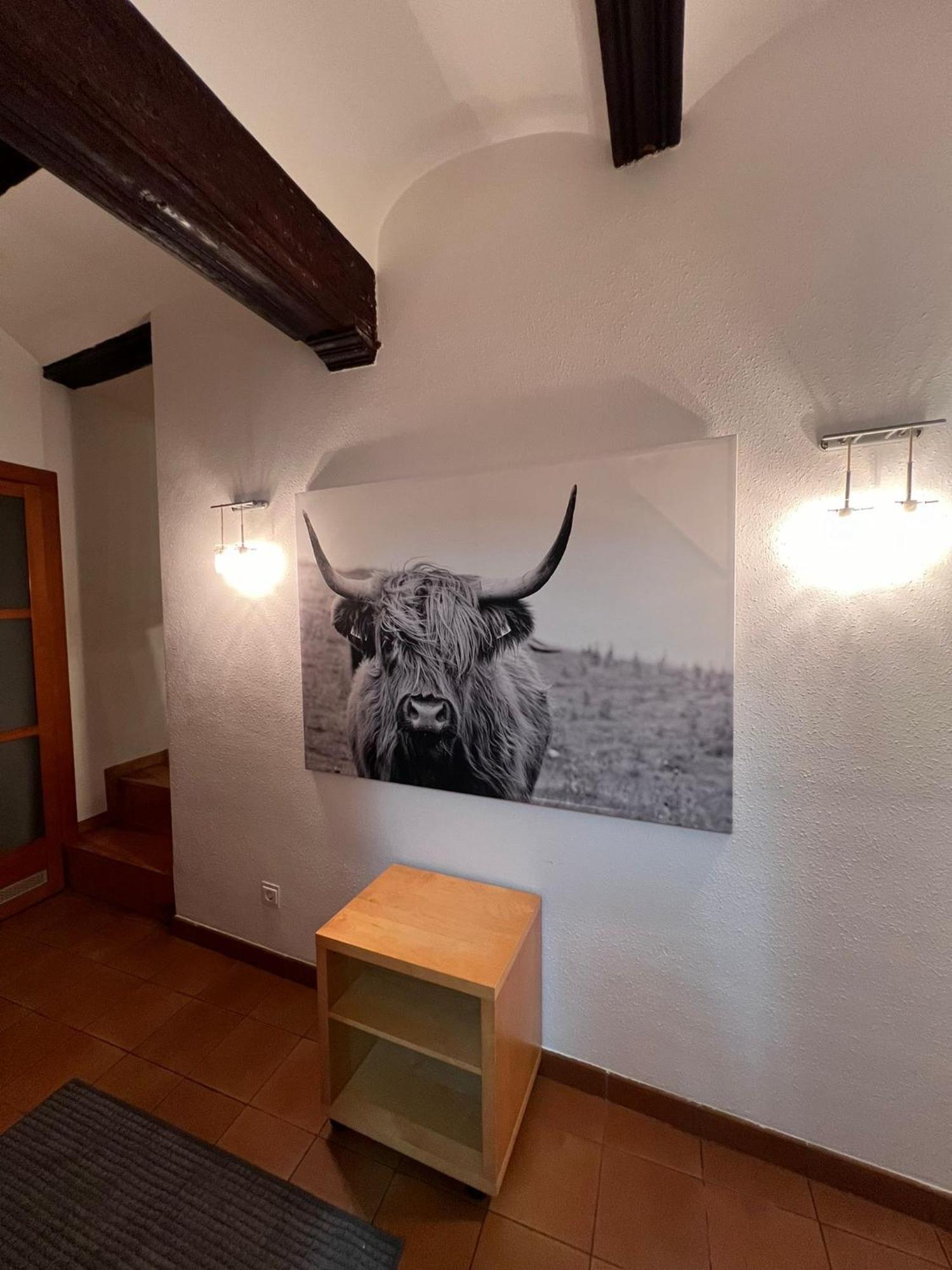 Encantador Apartamento En Estella-Lizarra Екстериор снимка